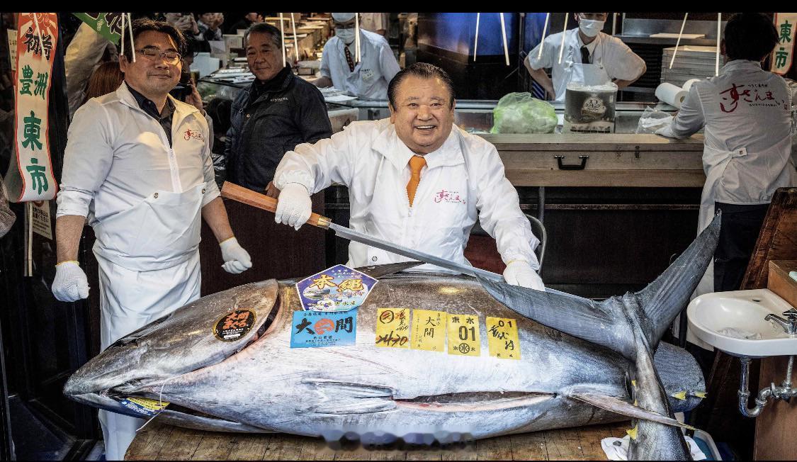 昨天，有史以来最贵的金枪鱼在日本拍卖，重535磅，售价约328万美元，此前从未拍