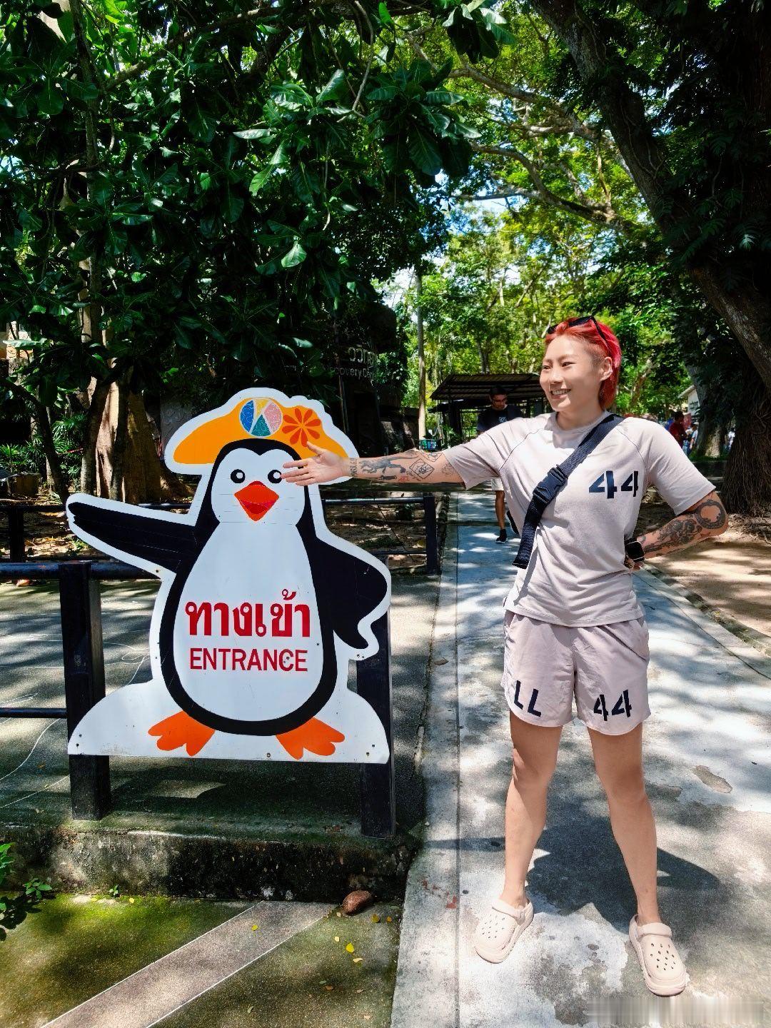 哈哈哈哈哈，云豹，考拉🐨，超粘人的吉吉国王。泰国旅游动物园刘丽格斗运动员日常分