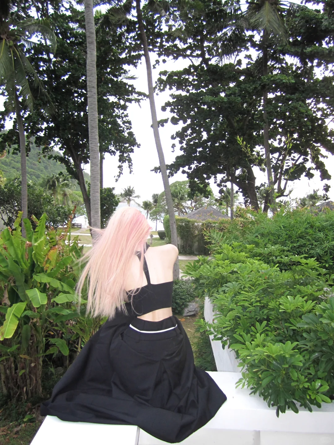 In the tropical rainforest