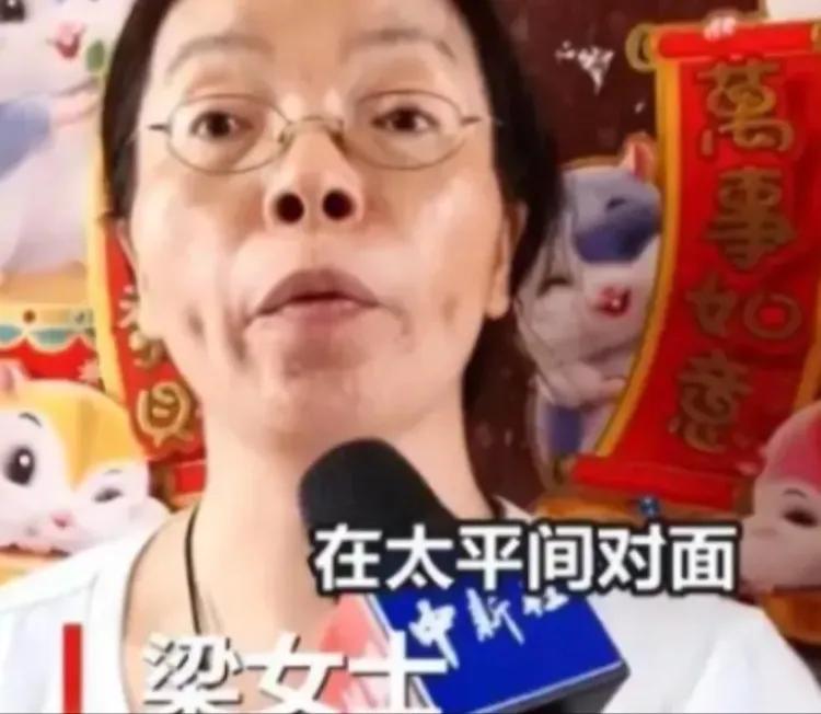 广州海珠之眼：贪心的钉子户梁蓉
 
2010年广州海珠涌大桥拆迁，30多平米老屋