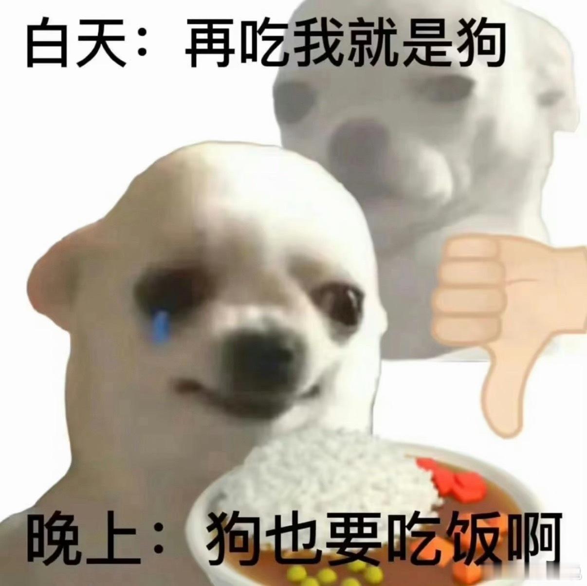 任敏回应胖了任敏被粉丝催着减肥 前段时间一直在追任敏的剧，完全没觉得她胖，只能说