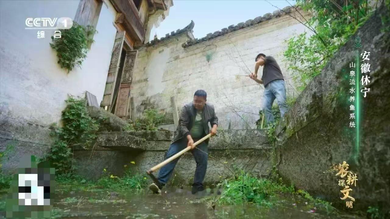 中国古人养鱼用流体力学安徽休宁古鱼池，进出水口同侧平行设计，巧妙运用流体力学推动