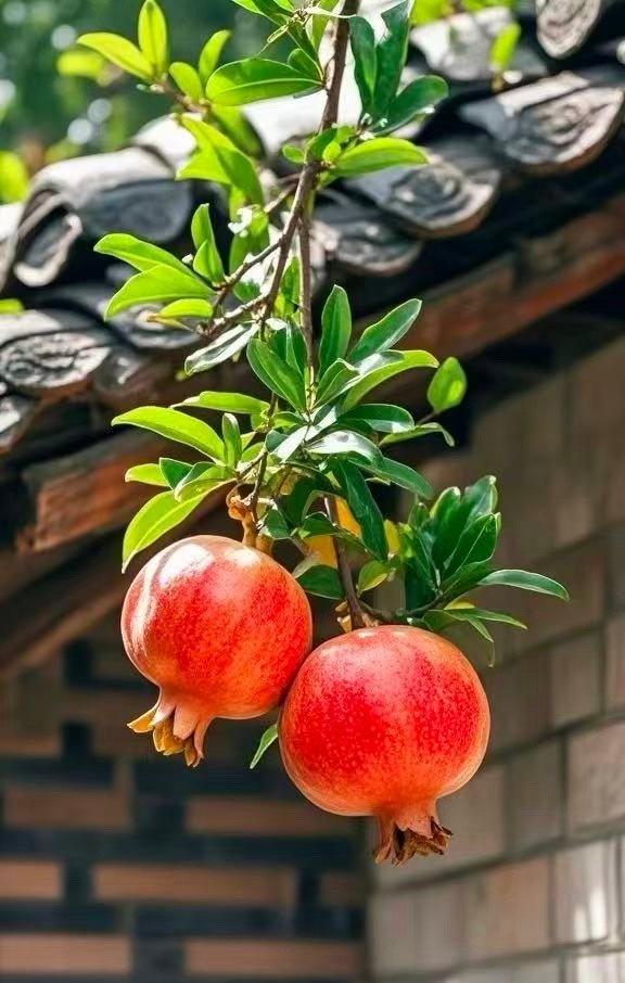 男生为什么喜欢淡定的女生？

很简单，因为淡定代表高能量。女生内在能量越高，对待