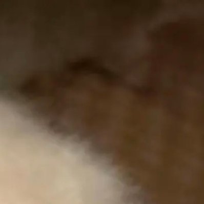 克服惰性和游离的心绪，投入理性而自律的生活。勤奋是你生命的密码,能译出你一部壮丽