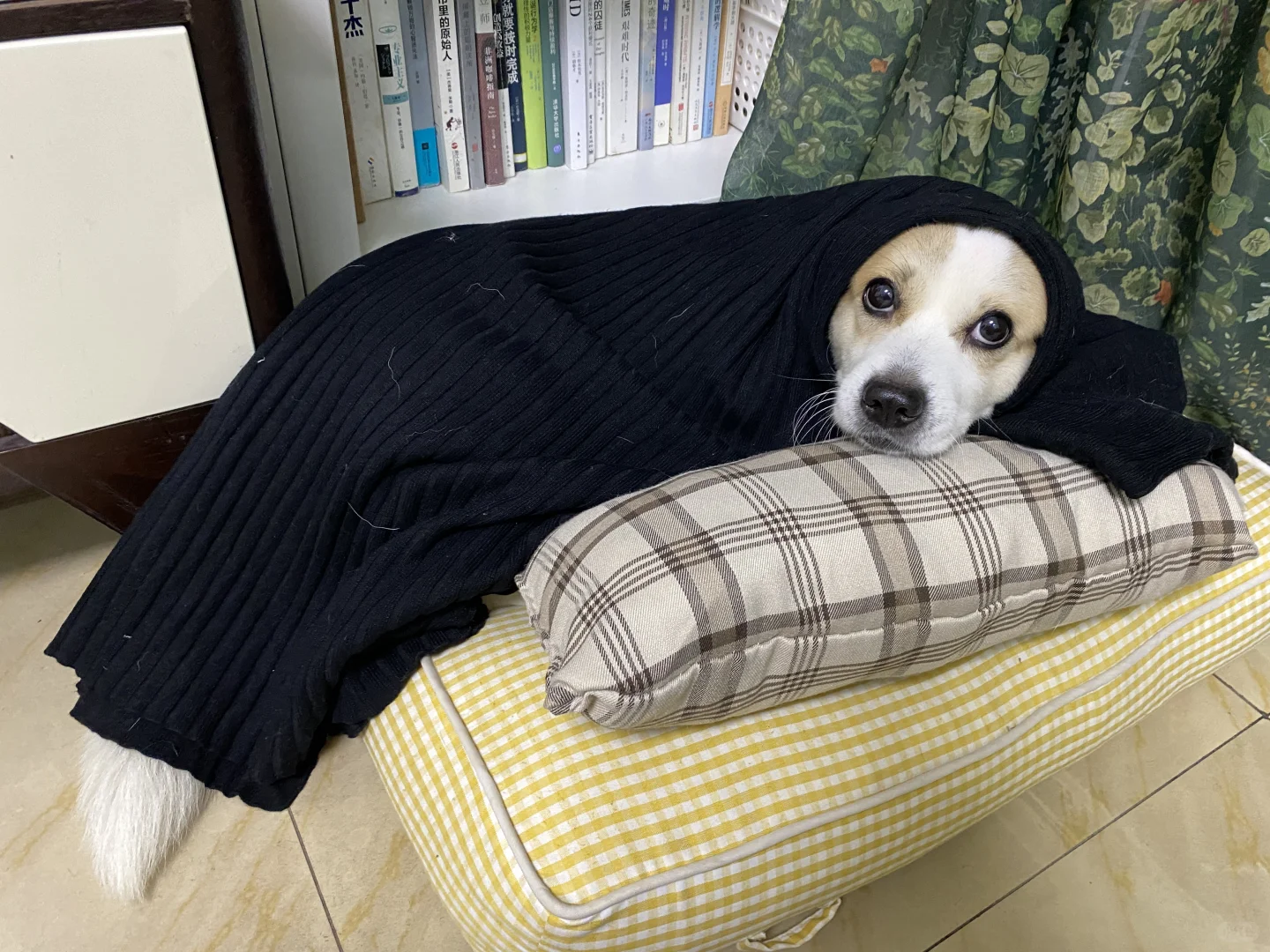 人，起床了没