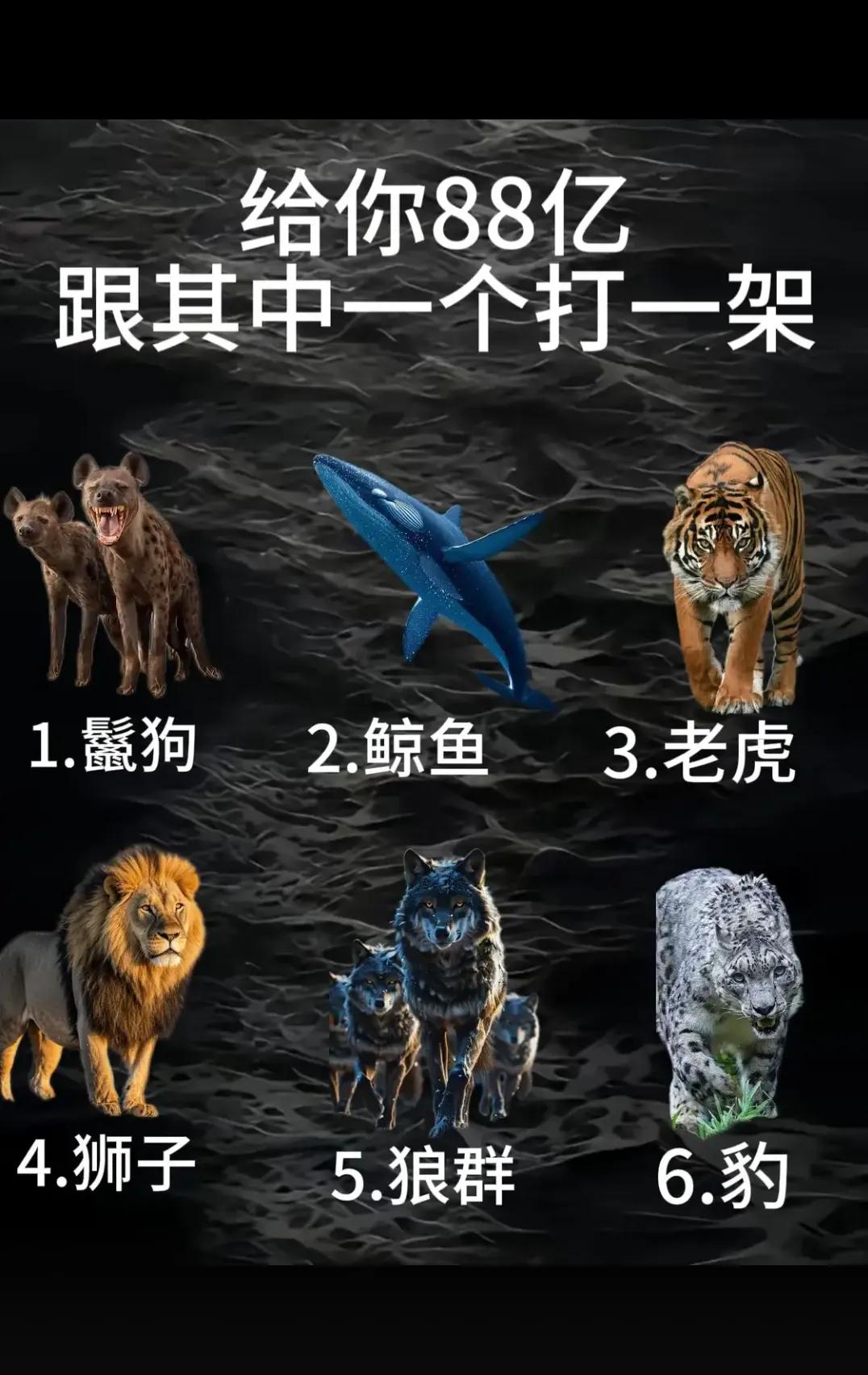 跟其中一个打一架   你选一个吧！！！