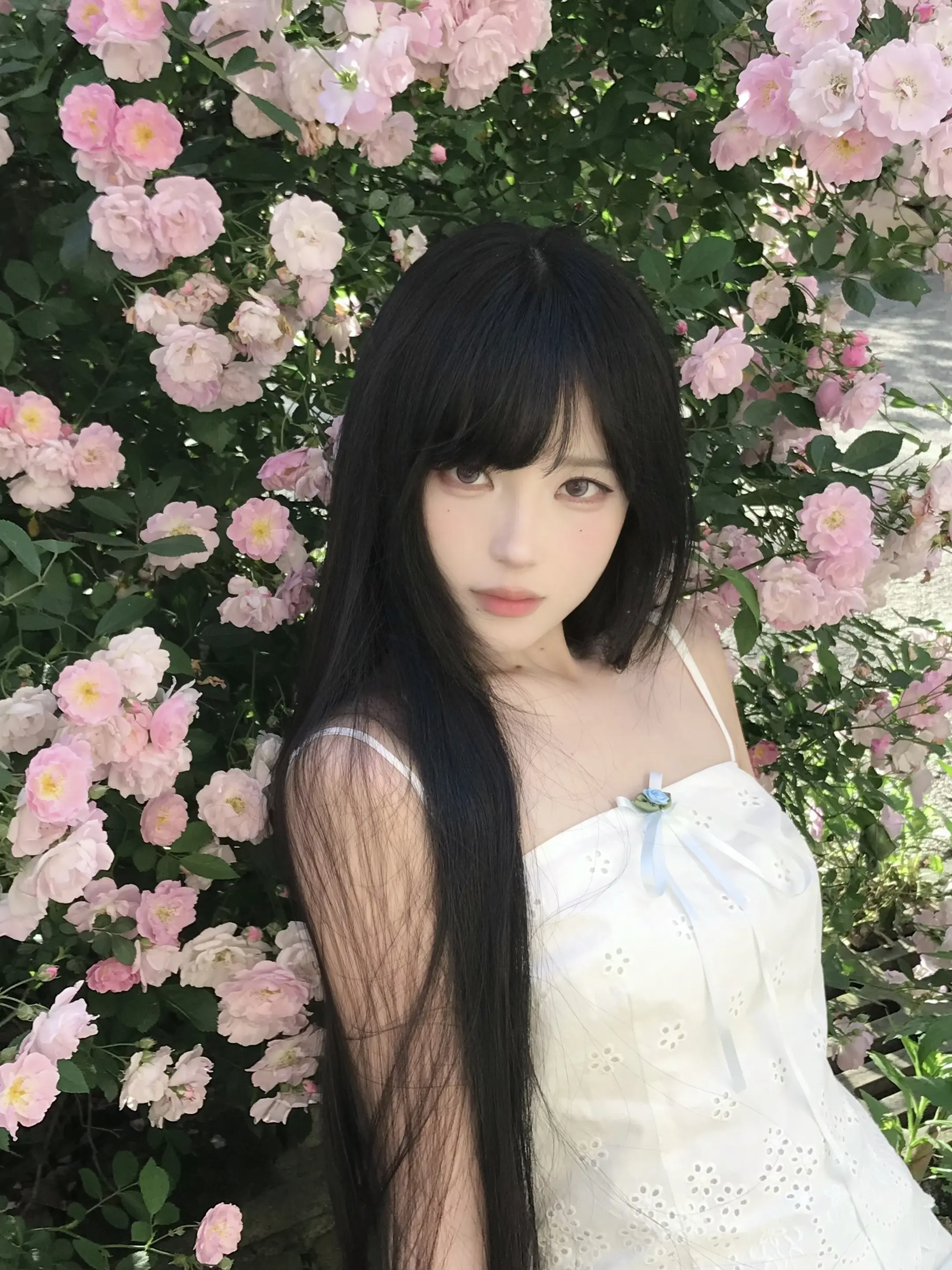 杳杳春来时