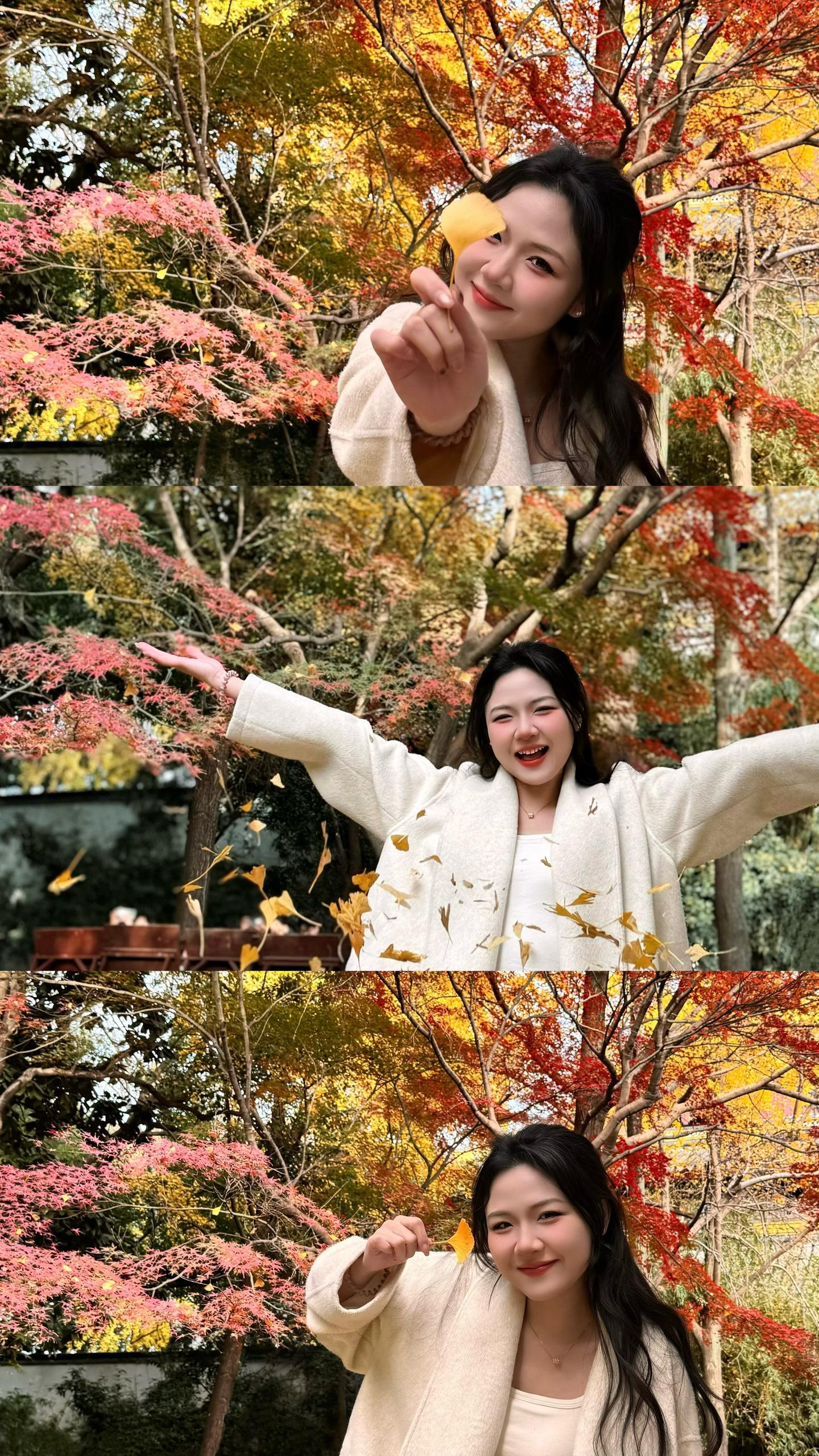 一年一西园。最是橙黄橘绿时🎨