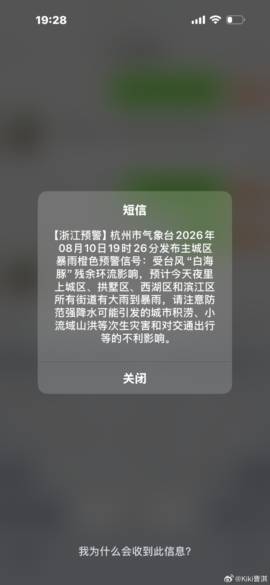 白海豚突然大拐弯非必要不出门平安是一切的前提
