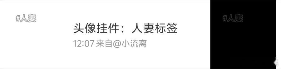 找到了一个很适合贺嘉述的fls