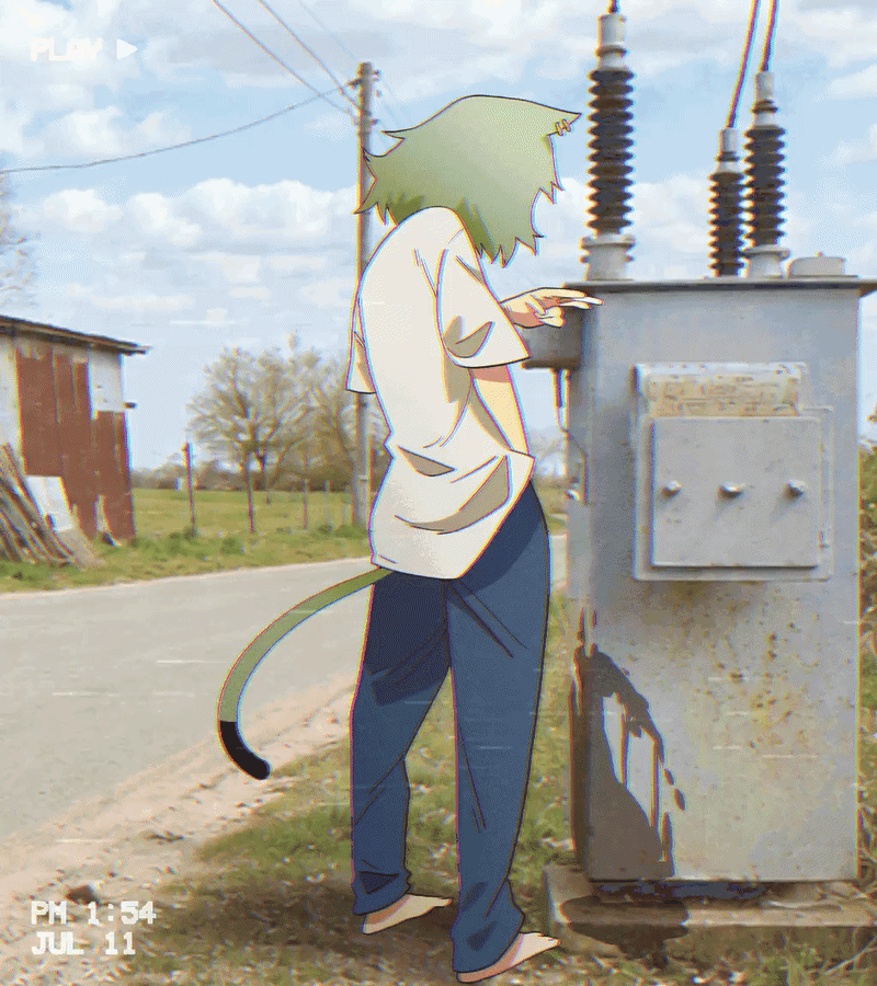 雅尼猫 