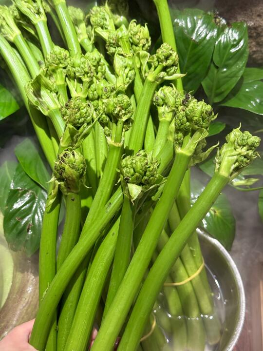 福建这个叫啥？真好吃s了！！！😭😭😭