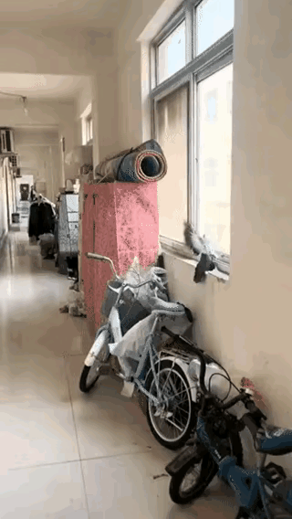 活久见！以为只有壁虎会断尾求生，没想到鸽子也会这招？！
 
看这宿舍走廊窗台上的