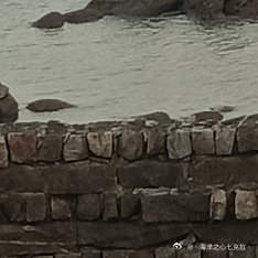 每日一善         改变的秘诀不是多努力地和过去做斗争，而是全力以赴地去打