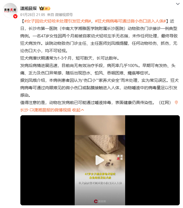 女子因幼犬轻咬未处理引发狂犬病被咬后第一反应决定生死！正确做法：用肥皂水+流动清