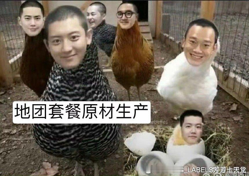 exo 爱丽来吃午饭喽 