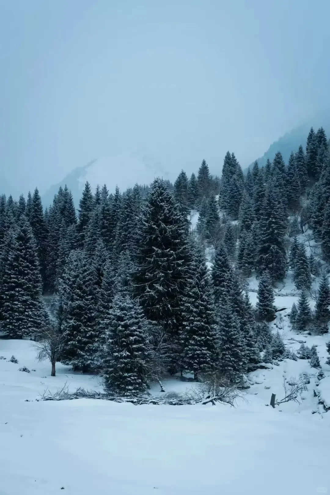 理小路一天来回，又下雪啦！11月准备去的必看