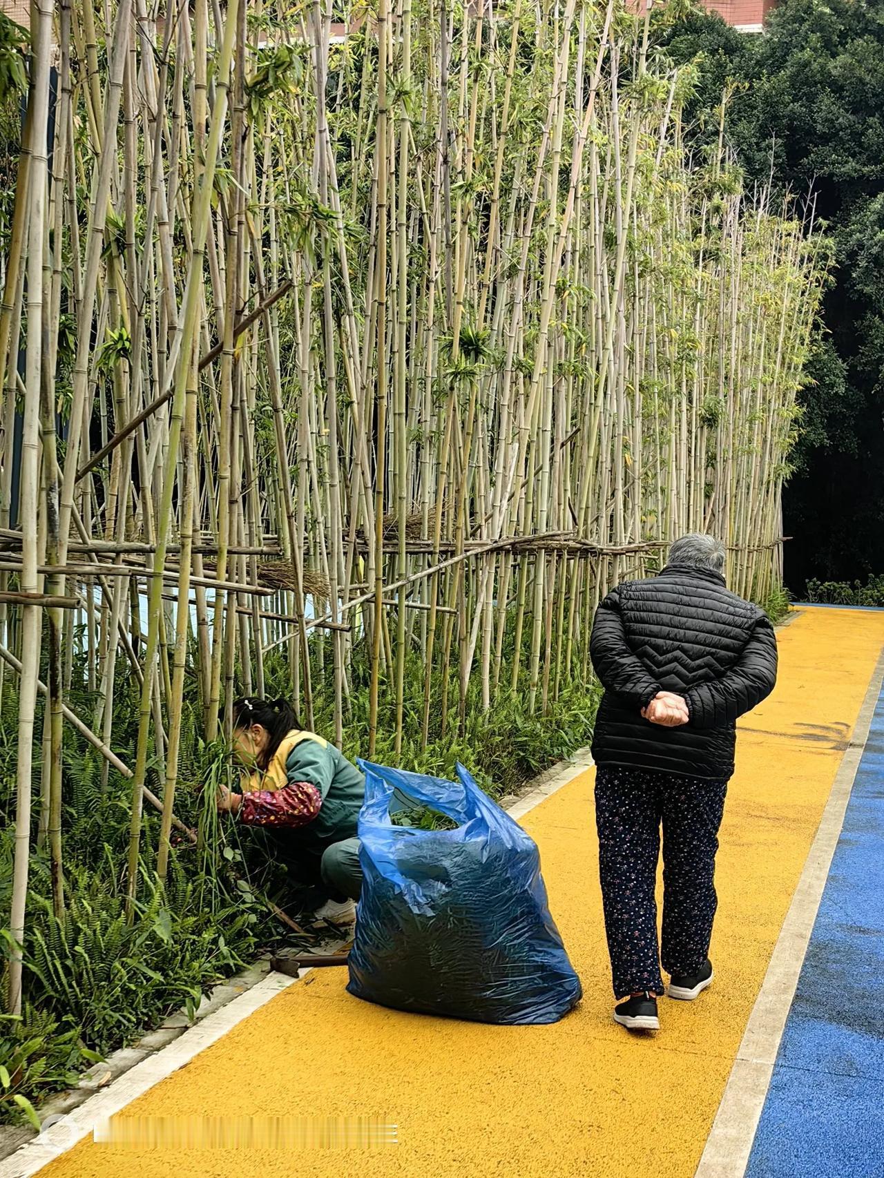 记录美丽风景