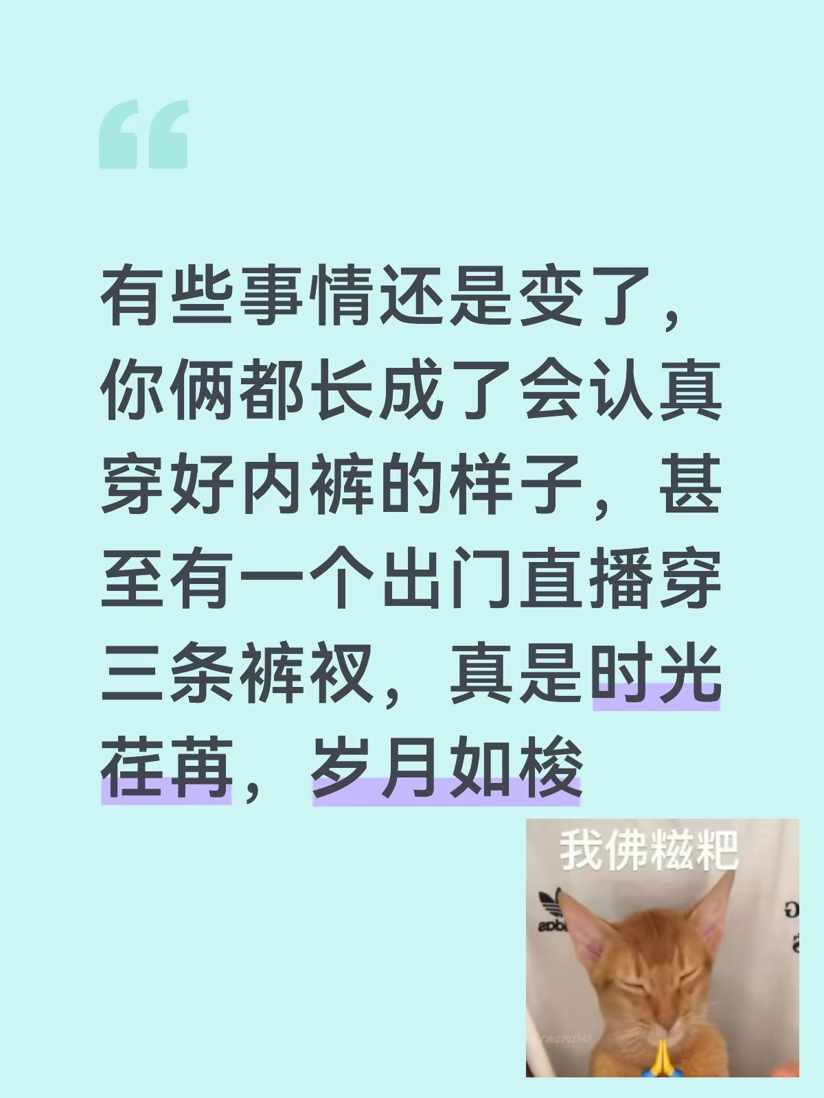 米 你们还是太有梗了我本来想把图二当文案的 想了想有点不好意思 