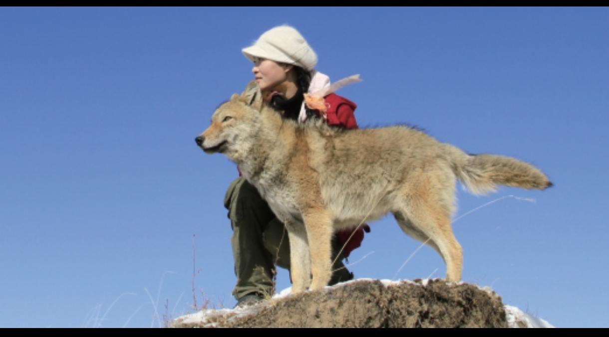 野生动物画家李微漪和几个驴友合租了一辆吉普车，去若尔盖草原写生游玩，结果半路车子