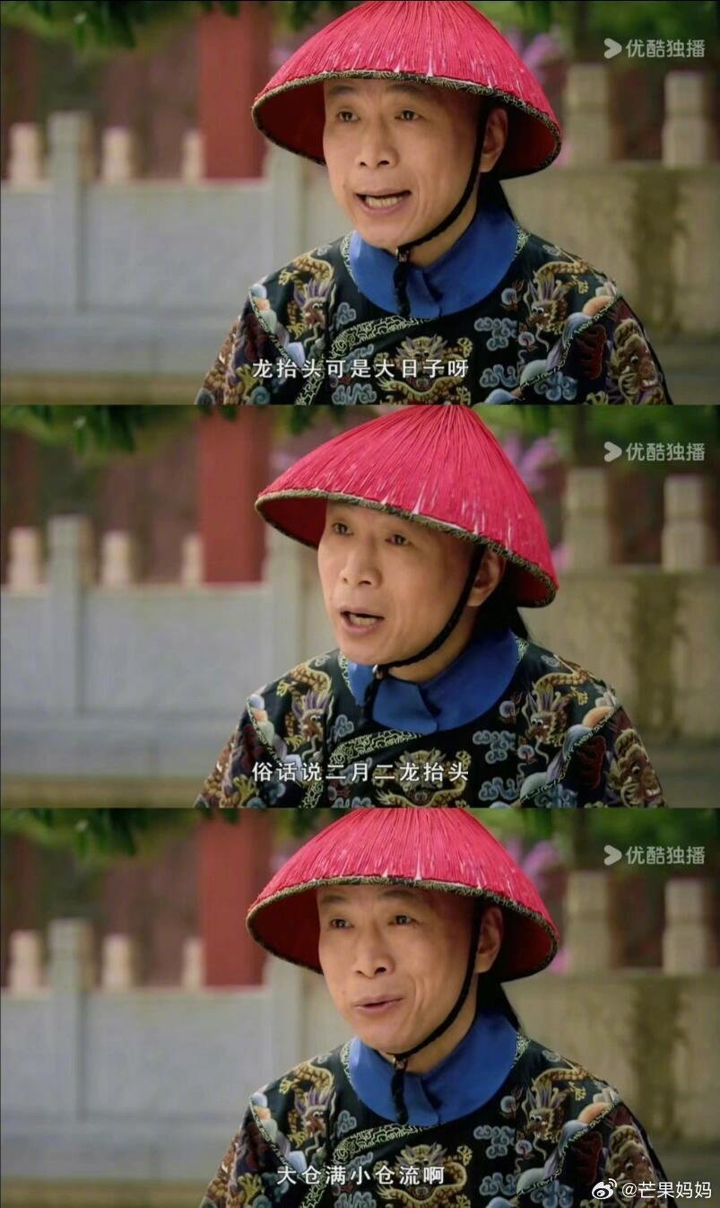 今天我们在这相遇是为了庆祝！胖橘嬛嬛双胞胎上户口的日子