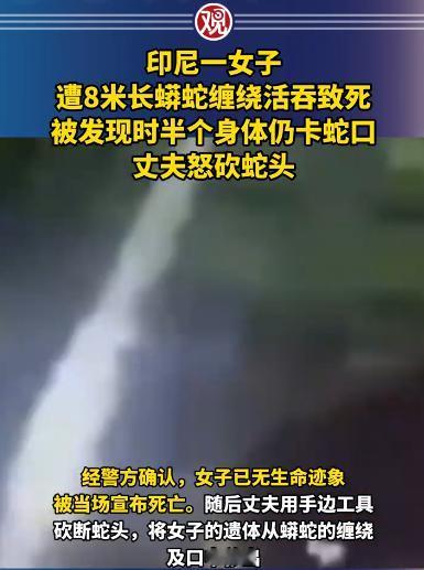 6月16号，印尼北马鲁古省出了一件让人头皮发麻的事。
一个44岁的女人，被一条将
