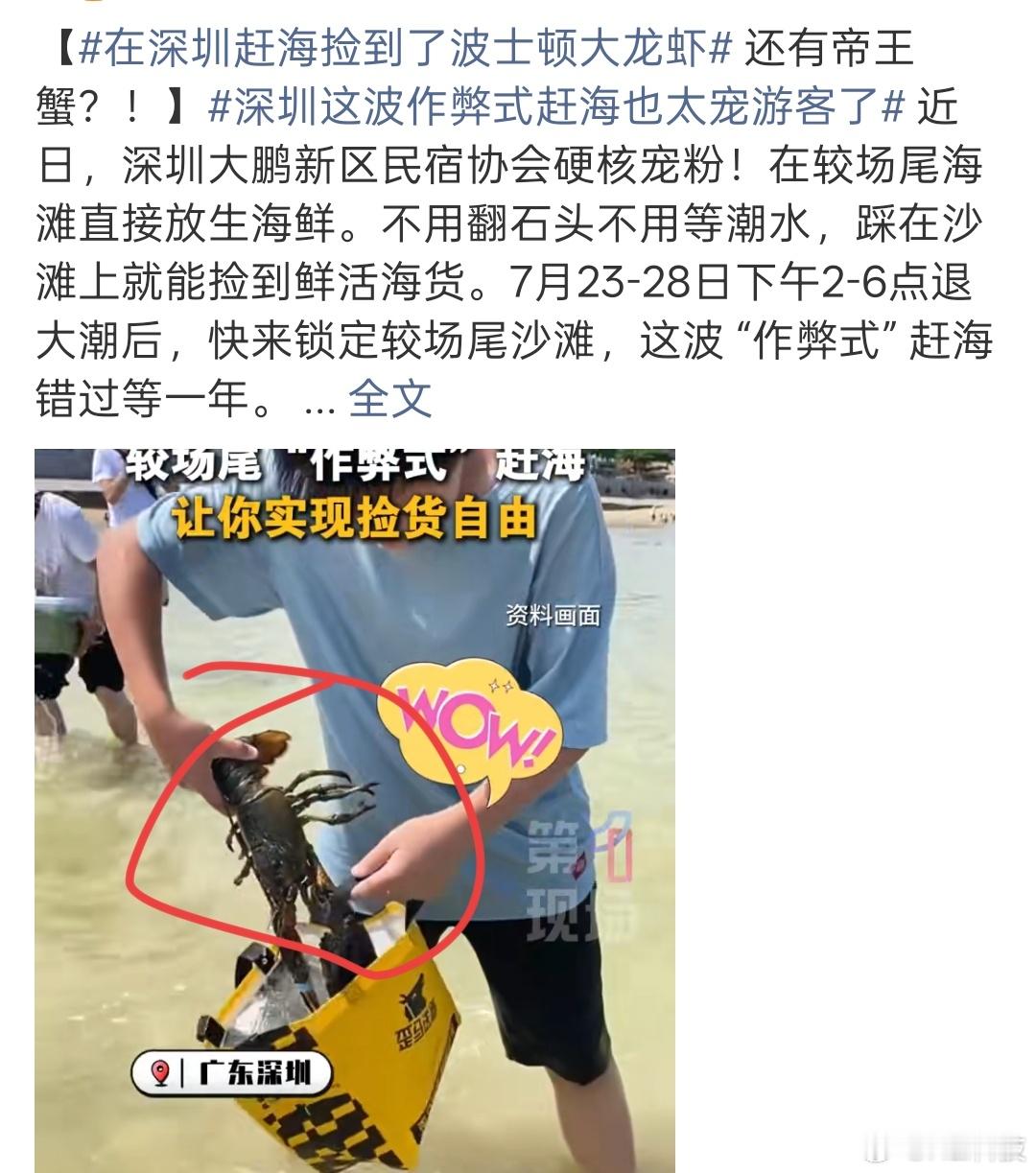 这么说吧，拿点捆绑的海鲜打饵，被钓到的是去赶海的深圳人[笑cry][笑cry][