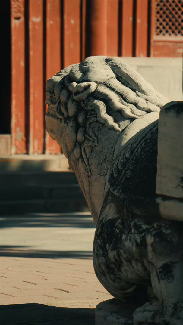 生活，不是这样就是那样，总之，它不会是你想的那样，所以，一切顺其自然就好，最艰难