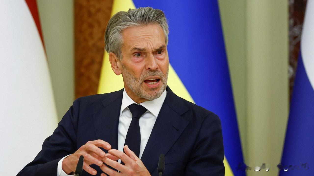 💰🗣🇳🇱荷兰首相迪克·舒夫就赔偿问题表示：“公正持久的和平需要俄罗斯赔偿