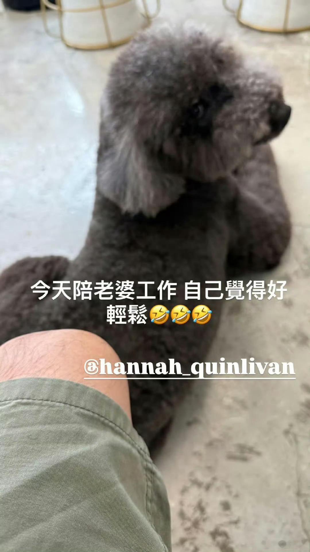 周杰伦陪昆凌工作 疼老婆才能发达[奶牛猫] ​​​