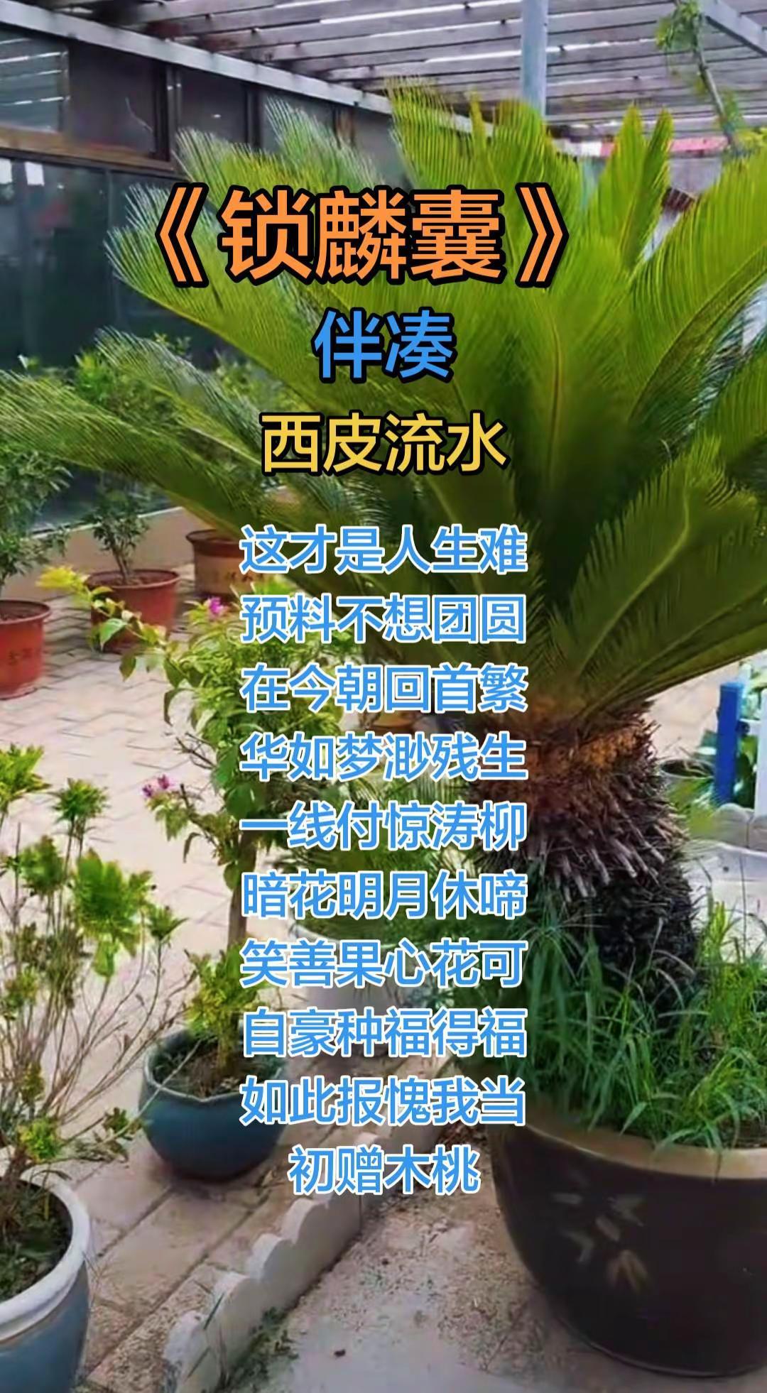 《锁麟囊》伴凑，西皮流水，你能跟唱下来吗？