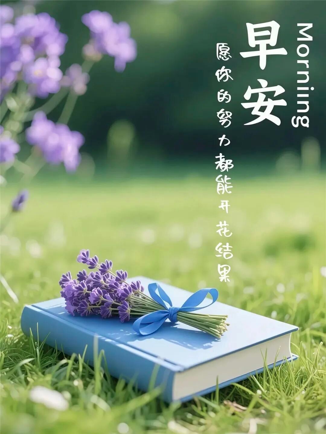 写文案早安，心里有光，就不怕路远，你流的每一滴汗，都会在以后悄悄发芽，加油，你值