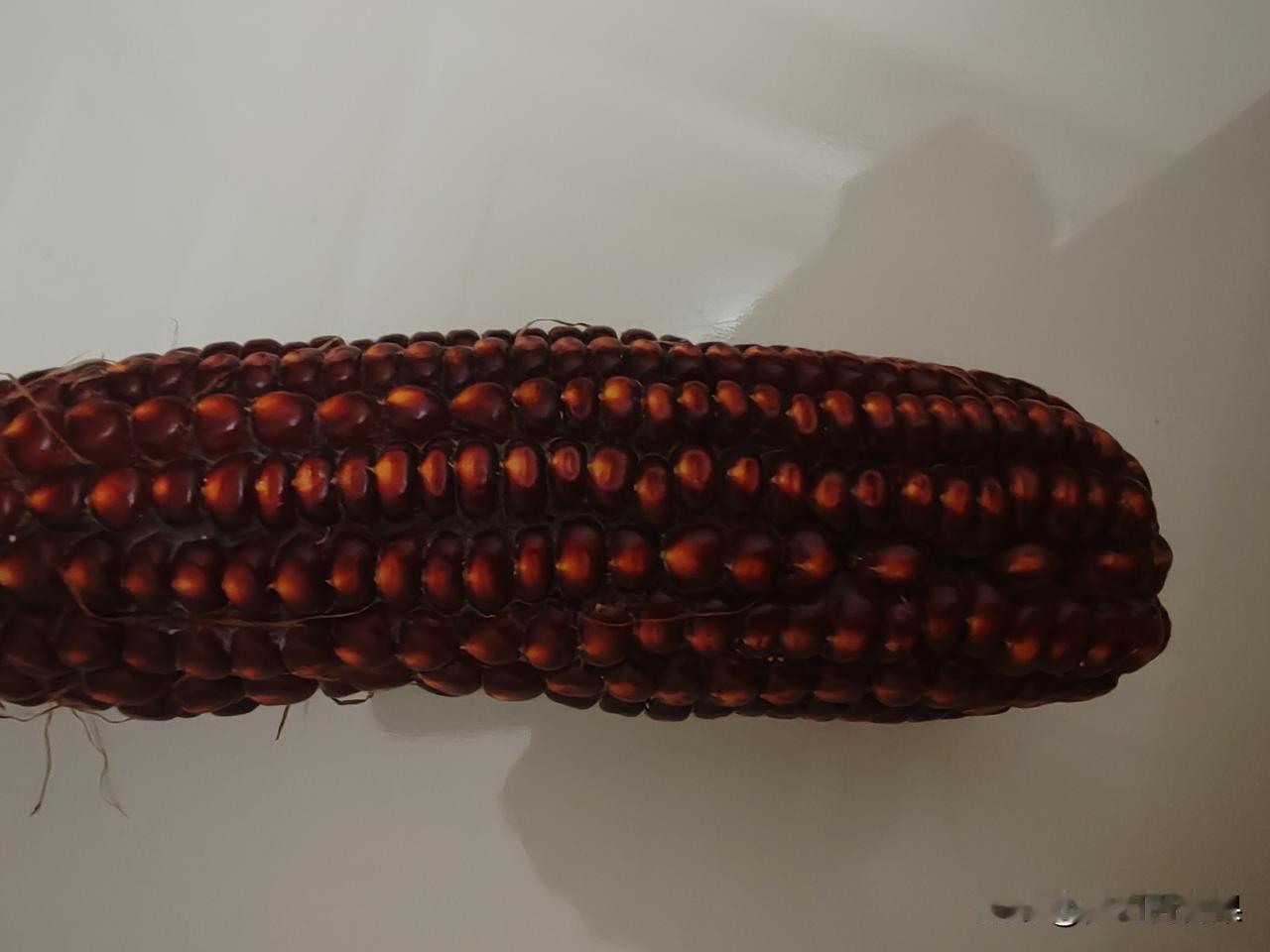 老百姓真的太苦了
到底是哪个专家说农民比较清闲的？