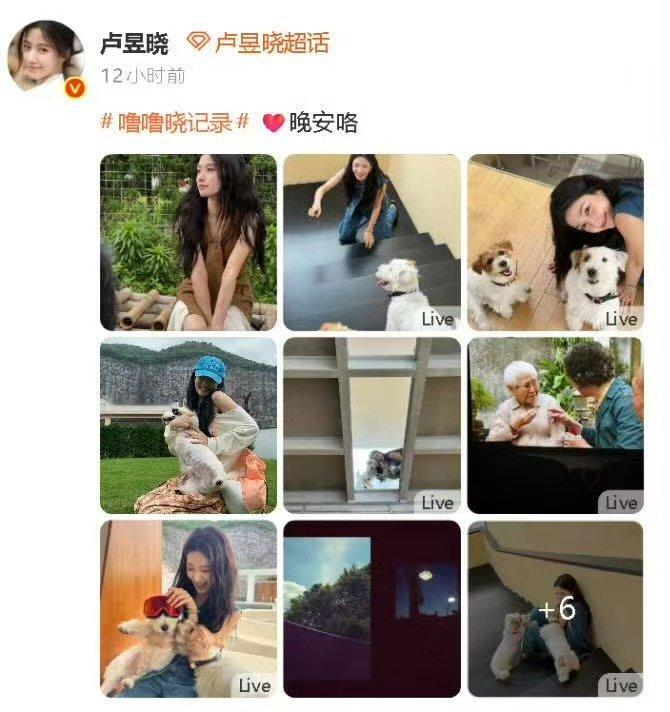 卢昱晓网感卢昱晓这算盗摄吗 给阿嬷的情书 屏摄，没火的时候发叫支持，火了再发叫蹭