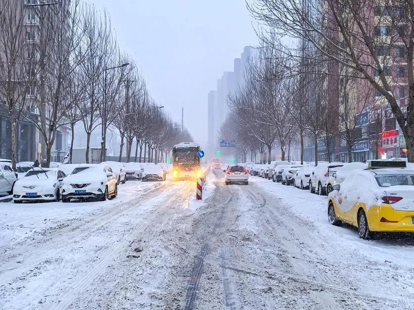 辽宁多地近期遭遇暴雪侵袭，其中丹东地区降雪量最大，给当地交通和居民生活带来严重影