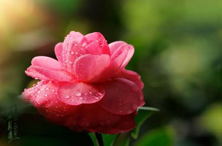 一个男人跟你在一起的时候，他会为你考虑，会想着对你负责，也会想给你什么样的生活，