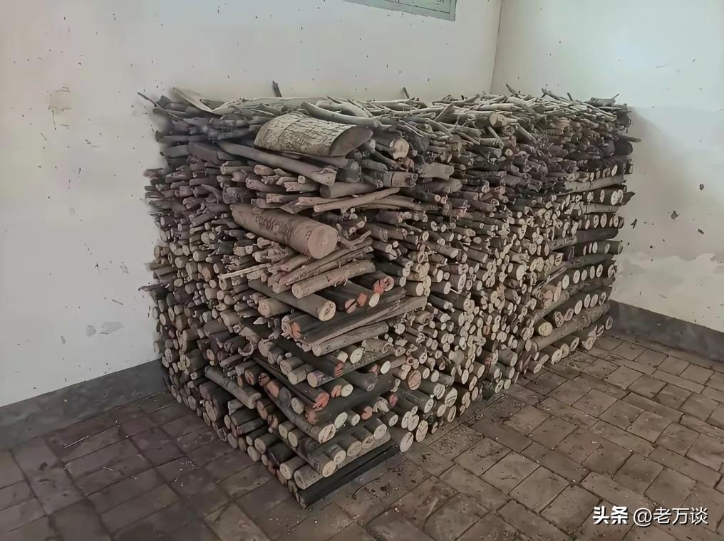 8 年前，四川宜宾某男子患重症，因不放心母亲生活，特意为母亲看好了一堆的柴火，堆