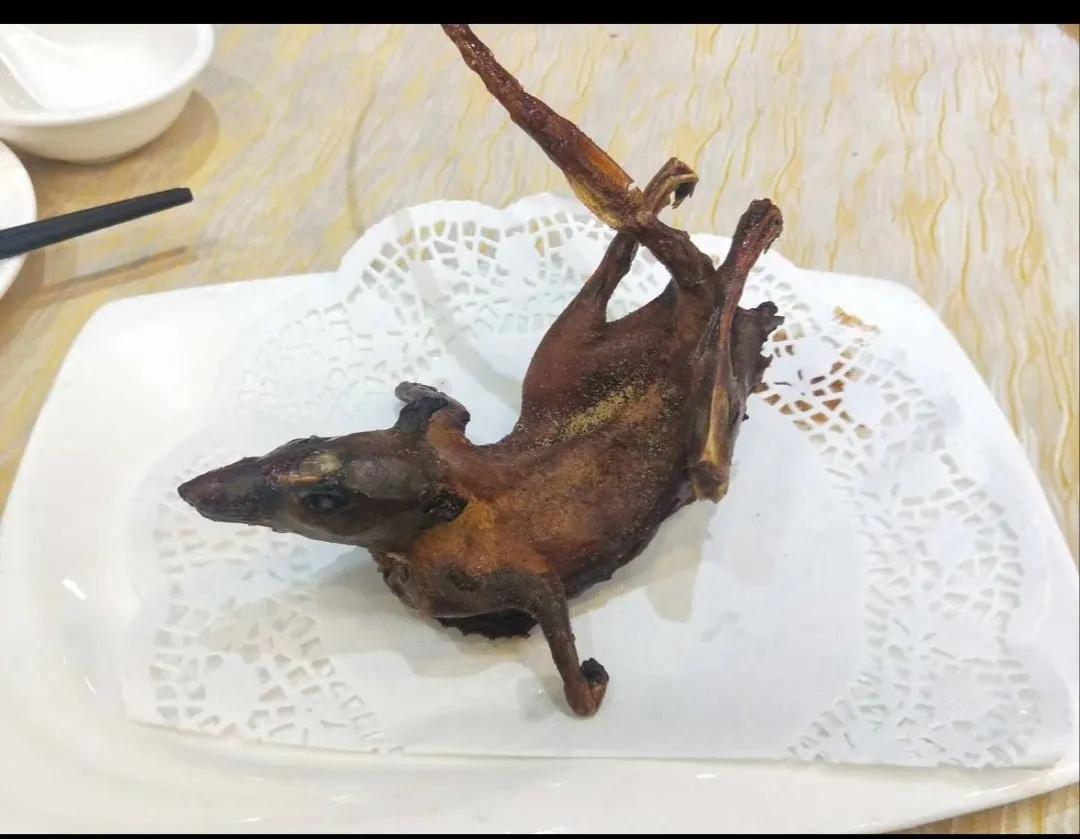 朋友请客吃乳鸽，可我怎么都不敢下筷子