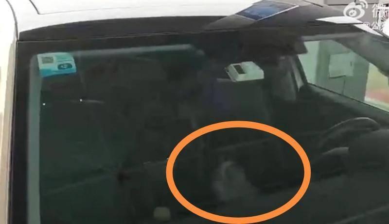 意外中也能有惊喜！2月12日，南韶高速乐安服务区内，一名驾驶人向正在执勤的交警求