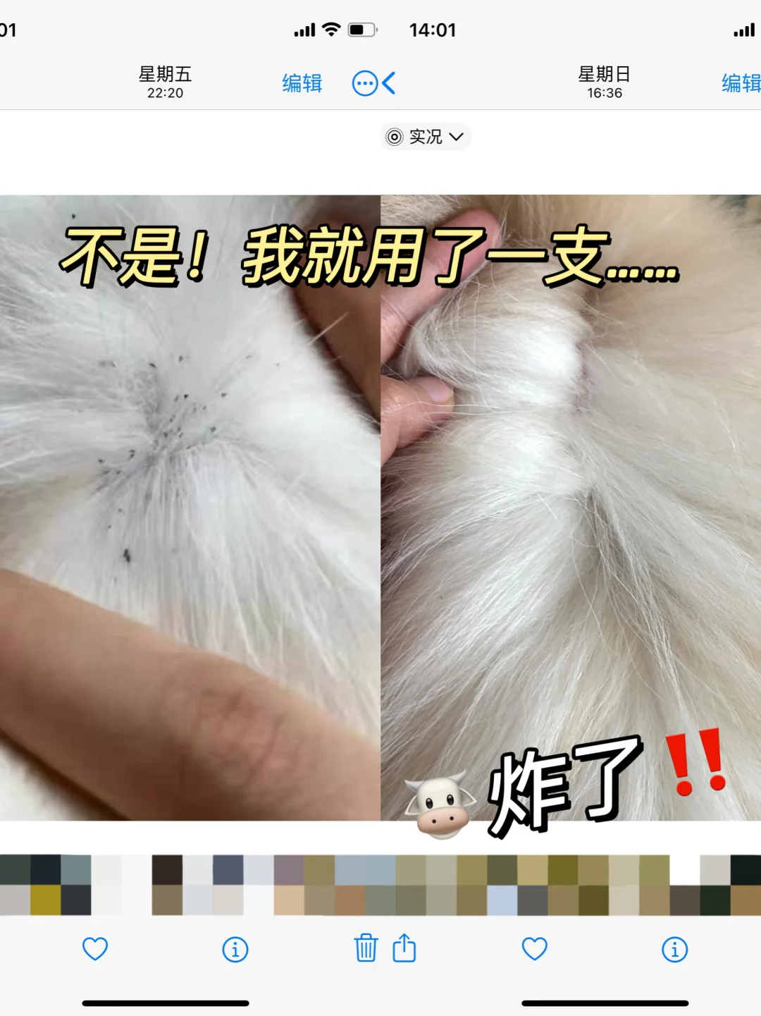 冷知识：天冷了也要驱虫！！！