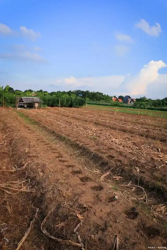现在种地真的太难了，我农村老家有10多亩地，从2008年的时候，父母外出打工，地