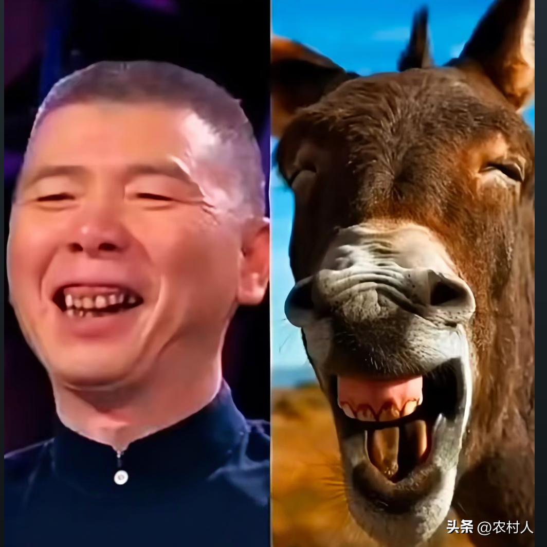 著名导演冯小刚，桀骜不驯摆臭样。你拍电影无人看，看你以后还嚣张。你们觉得这首诗什