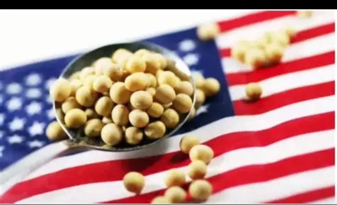 这意思还怪我们不买你们的粮食咯？真是的“又想当又想立”。不过中国要明确的告诉你，