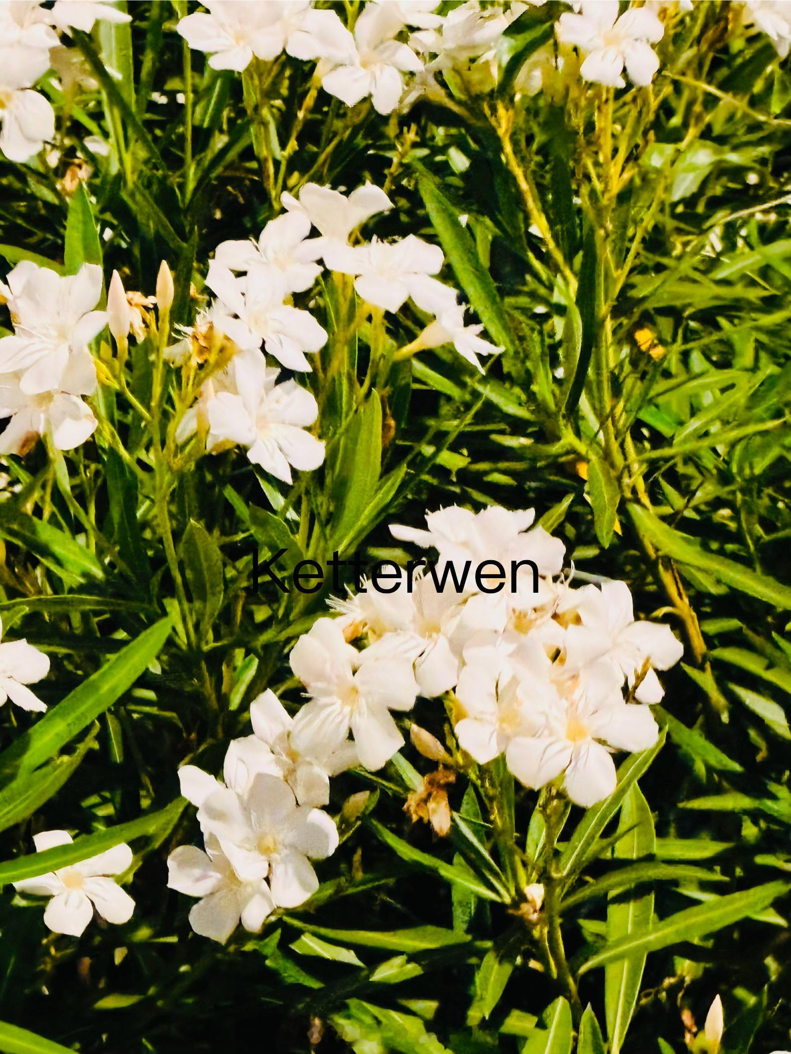 夏日の繁花似錦  专栏 · ketterwenの騎行紀錄