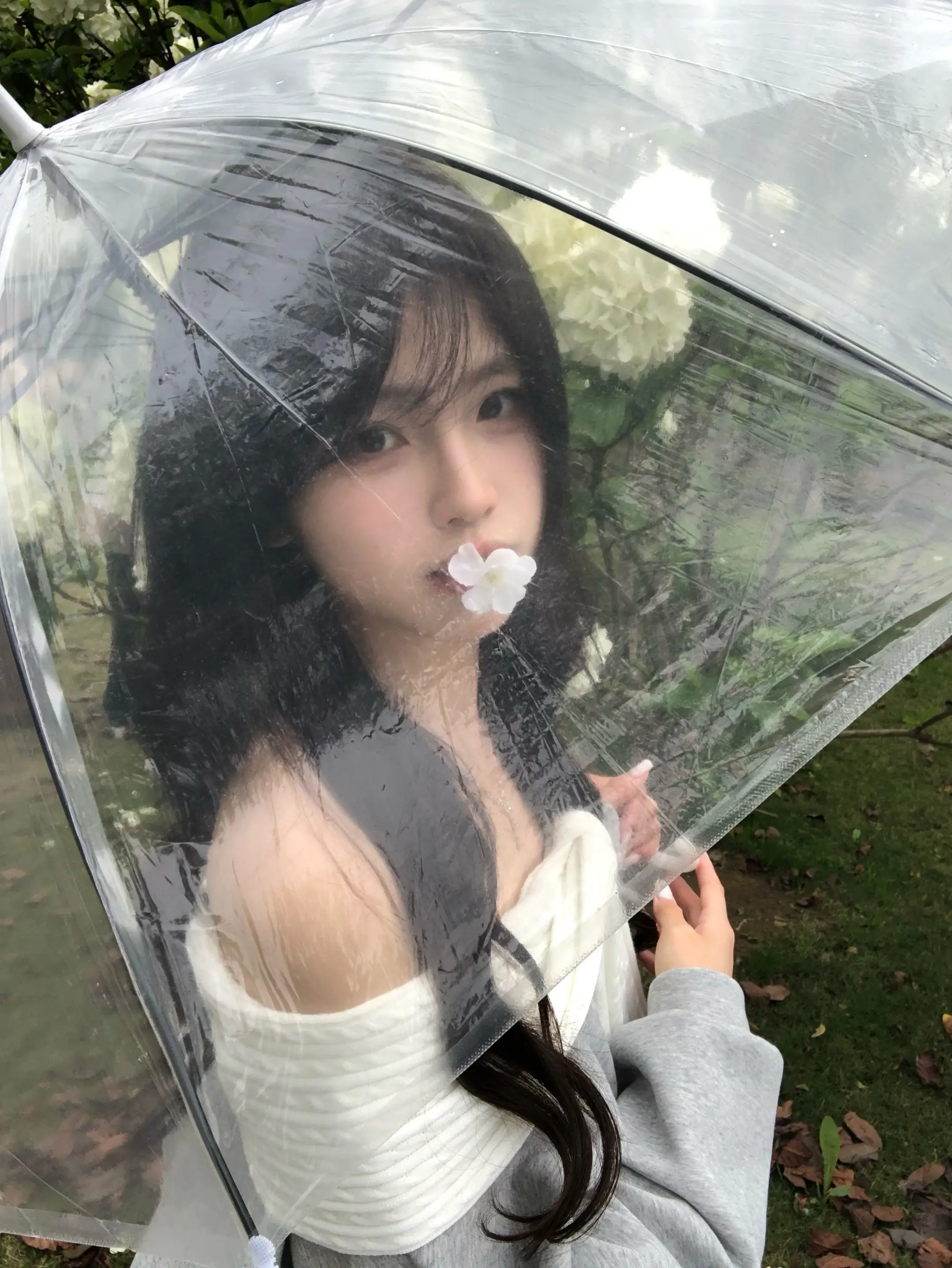 你消失之后我该去哪找你