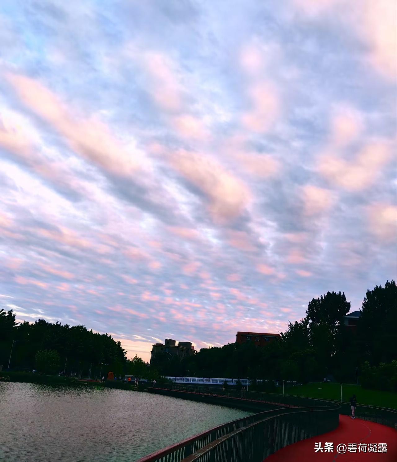 傍晚的天空，夕阳洒下金辉 ，为白云染上上了美丽的色彩，仰望天空，如诗画般的美丽，