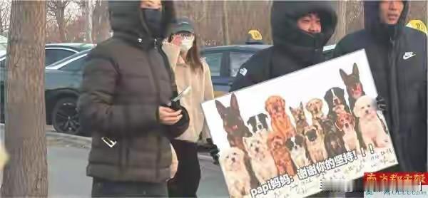 毒杀11个“毛孩子”一审被判四年——这个消息，一出便激起千层浪。11条无辜的生命