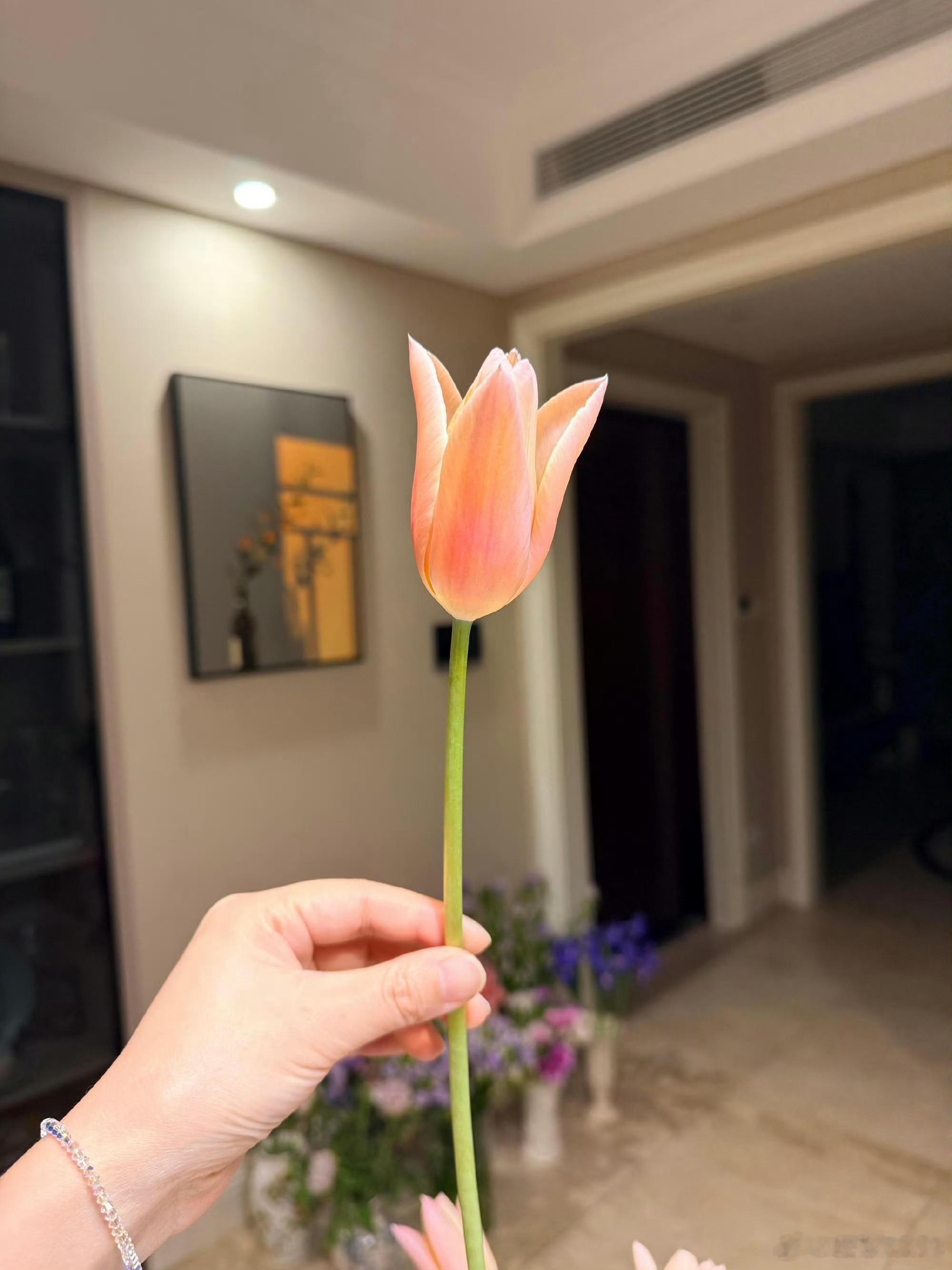 你得先是你自己,才有生活的欢喜,愿每个人都能找回自己,成为自己唯一的主语