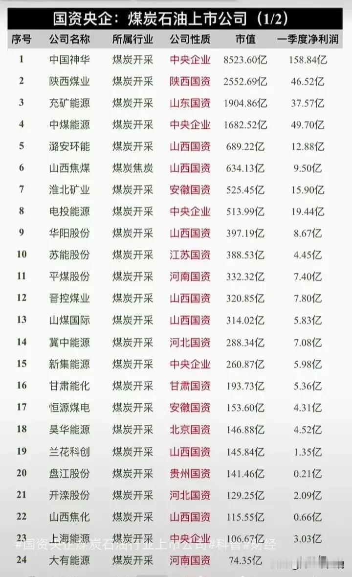 国资央企+行业龙头大集合！附一季度净利润、资产负债率数据！
（1）国企央企+半导