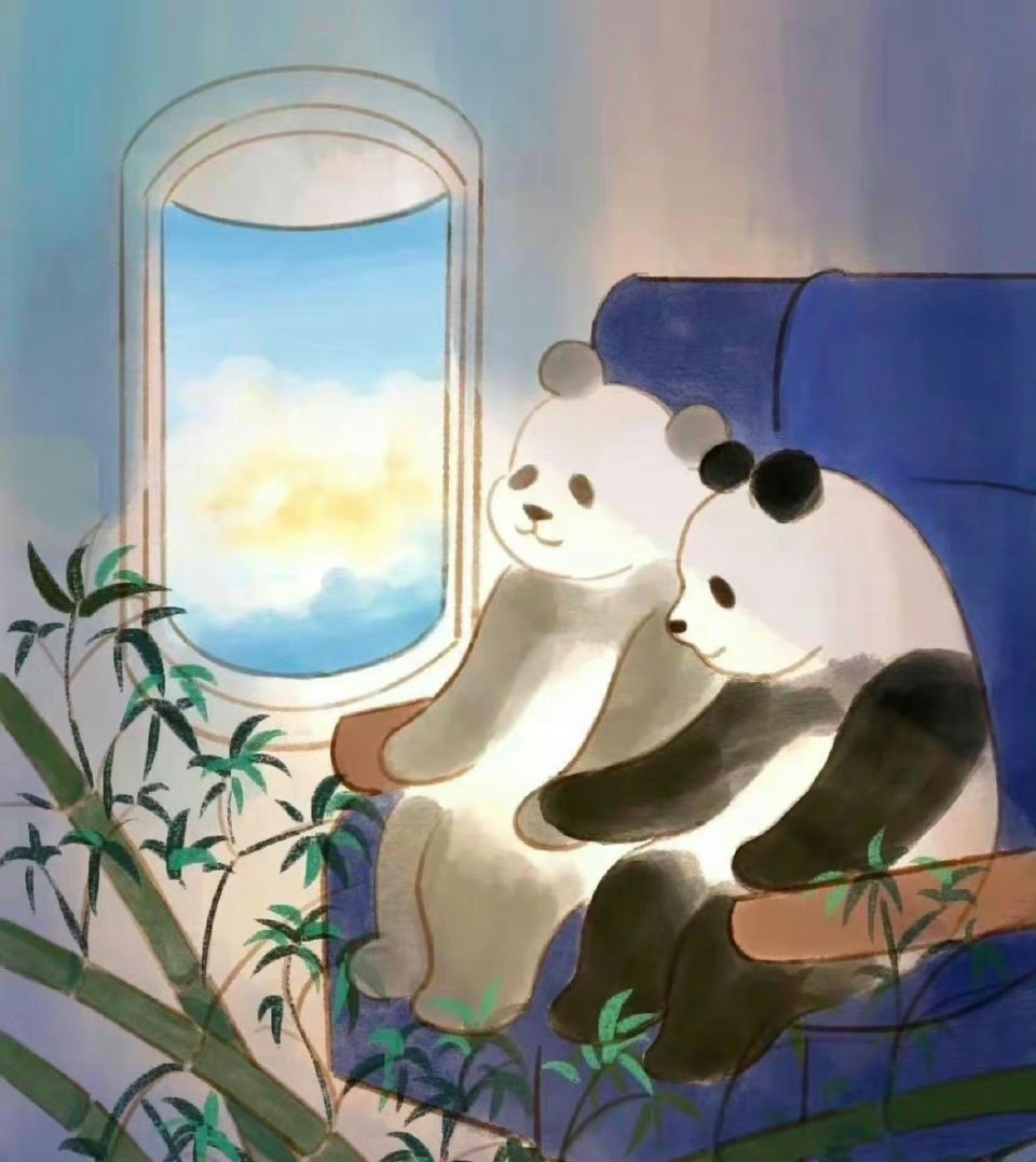 #丫丫一到机场就收到了竹子#可惜乐乐再也吃不到家乡的竹笋笋和盆盆奶了[苦涩] ​